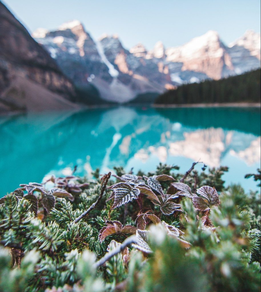 Lago Alberta